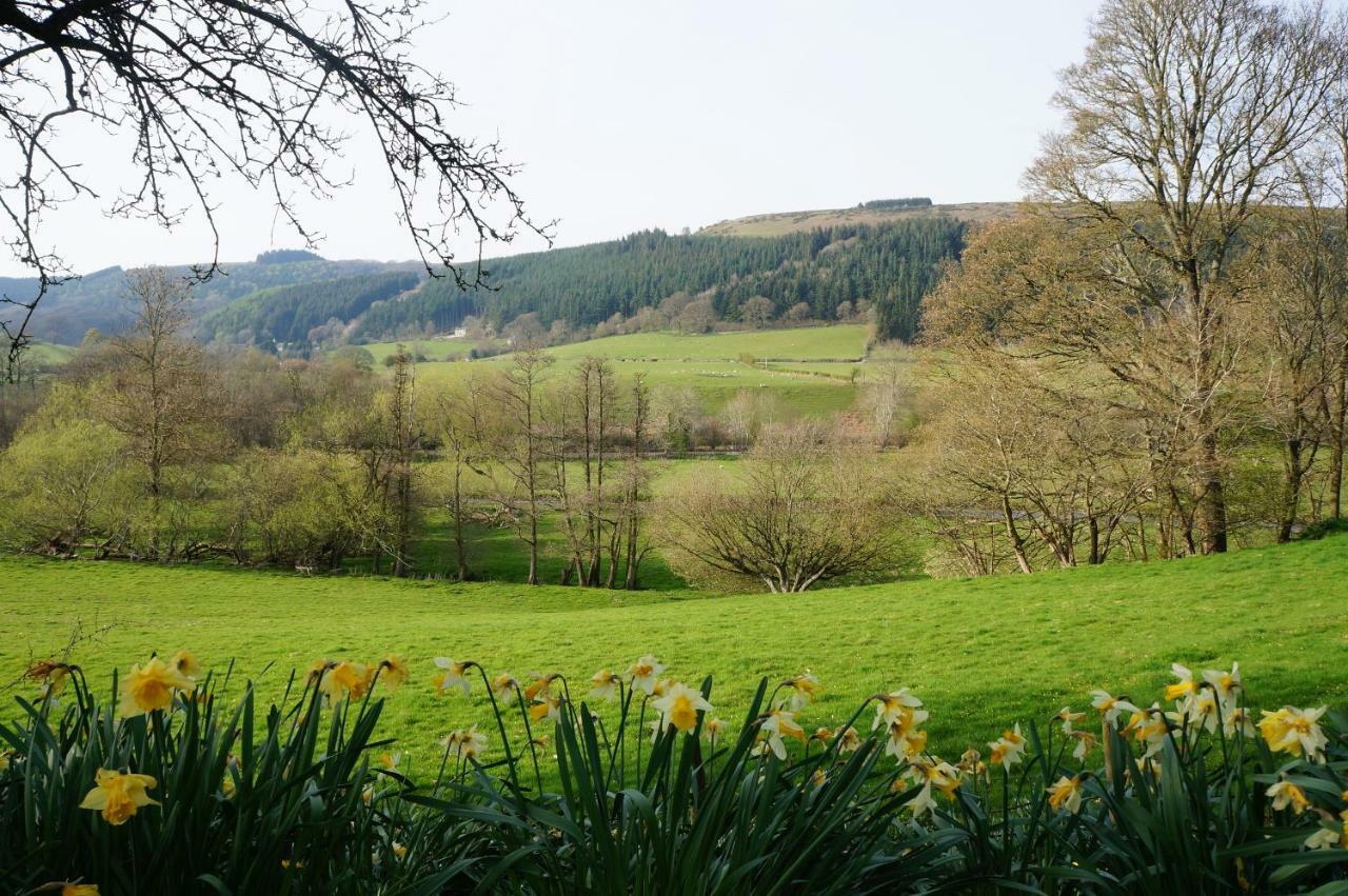 ナイトン Milebrook House Bed & Breakfast エクステリア 写真