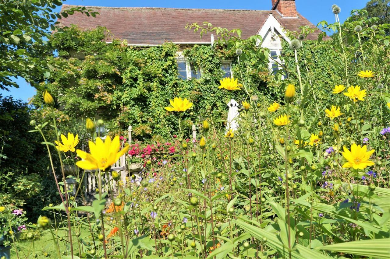 ナイトン Milebrook House Bed & Breakfast エクステリア 写真